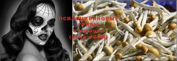 МДПВ Алзамай