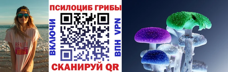 Псилоцибиновые грибы Psilocybine cubensis  хочу   гидра как войти  Никольское 